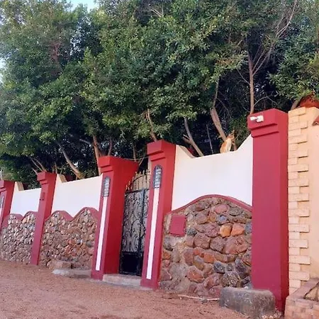 Red Oasis Apartment